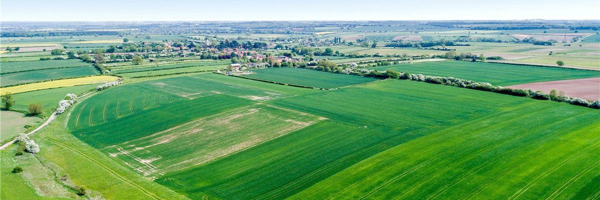 Laxton Open Field Village